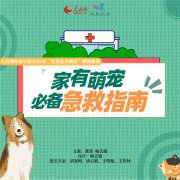 被狗咬伤担心感染狂犬病？这3个知识点帮助急救